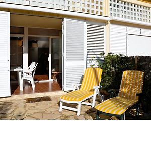 Paradis 31